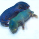 Illustration for article titled Prairie Vole Embryos Injected With Glowing Jellyfish Gene Grow Up To Glow Too